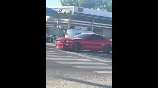 Look at this cobra mustang Are cobra mustangs rare youtubeshorts [upl. by Trainor]