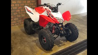 Look What Followed Me Home 2024 Honda TRX250X 92824 [upl. by Dippold]