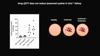 Translational Approaches for Cystinosis New Targets Same Hope [upl. by Sibylle]