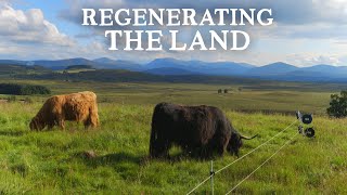 Inspirational 150 Acre Regenerative Farm in the Scottish Highlands [upl. by Zerdna]