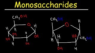 Monosaccharides  Glucose Fructose Galactose amp Ribose  Carbohydrates [upl. by Nicolas]