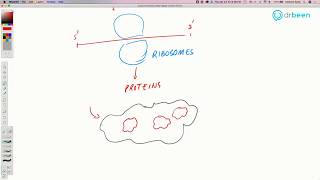 COVID19 Insights Remdesivir Mechanism of Action [upl. by Alexi422]