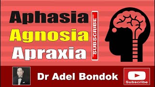 Aphasia Agnosia and Apraxia Dr Adel Bondok Making Anatomy Easy [upl. by Ajnos112]