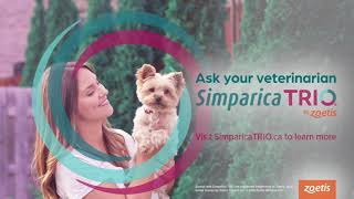 Simparica TRIO TV Commercial Canada 202122 [upl. by Annaor]