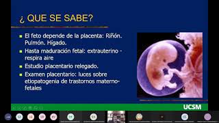 I Fase  4ta clase  Placenta y membrana fetales  Dr Delgado [upl. by Andonis]