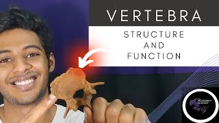 VERTEBRA STRCTURE AND FUNCTIONBiomechanics of spinePhysiotherapy Tutorial [upl. by Prinz890]