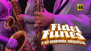 Fidel Funes y su Marimba Orquesta  El Sabor Continua 4K [upl. by Oiril369]