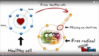 What happens to your body when having oxidative stress [upl. by Arihsay]