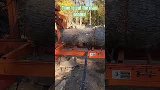 WoodMizer Shed Build shed beams woodworking woodmizer hardwork DreamTrackAI Sawmill in fall [upl. by Essenaj223]