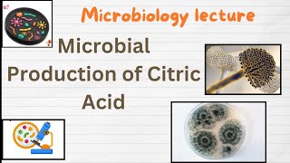 Citric acid production  Microbial Production of Citric Acid  Industrial production of Citric acid [upl. by Clayborne]