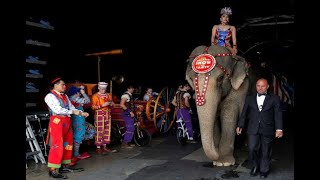 Elefantes actúan por última vez en el circo Ringlin Bros [upl. by Bolton]