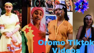 Sirba afaan oromoo haaraa 2023 Oromo music  Oromotiktok [upl. by Dnesnwot]