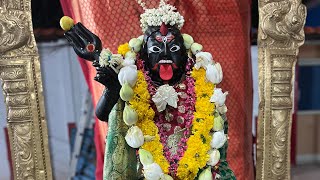 🚩🙏🔱🕉️🪔Ma Aghorakaali Arti 🔴 Live Darshan 🪔 🕉️🔱🙏🚩 [upl. by Semadar]