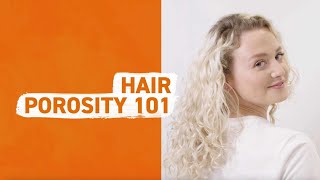 How to Identify Hair Porosity [upl. by Nbi125]