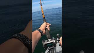 Oregon Halibut Fishing  New Video Out Now  Like For Part 2 pnwfishing halibutfishing oregon [upl. by Reppiks270]