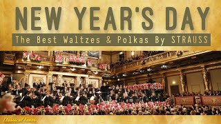 Wien Classics  NEW YEARS DAY CONCERT  The Best Waltzes amp Polkas By Strauss [upl. by Ynaffyt]