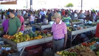 Feira Livre no Interior da Bahia  Paramirim [upl. by Koerner539]