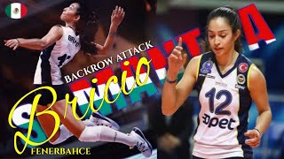 Samantha Bricio  Backrow Attack Volleyball 2019 [upl. by Nani]