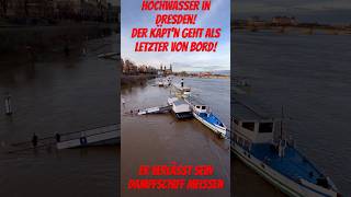 Hochwasser in Dresden Knapp 6m war der Pegelstand der Elbe in Dresden am 29122023 [upl. by Vookles]