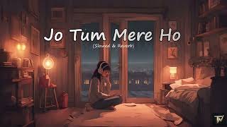 Jo Tum Mere Ho Slowed  Reverb [upl. by Suoivatnom]