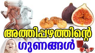 അത്തിപ്പഴത്തിന്‍റെ ഗുണങ്ങൾ  Benefits of Fig Fruits  TASTY WORLD  Athi pazham Health Benfits [upl. by Pillihpnhoj]