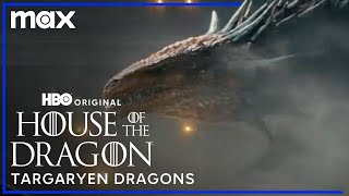 House Targaryen amp Their Dragons  House of the Dragon  Max [upl. by Eessac]