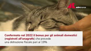 Bonus animali domestici confermato per il 2022 [upl. by Wieche559]