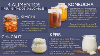 Intestino Saludable Con La Microbiota Intestinal  KIMCHI  CHUCRUT  KOMBUCHA  KÉFIR [upl. by Fabio]