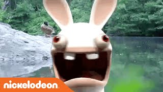 Rabbids Invasion  Look Closely  Nick [upl. by Ahsercel]