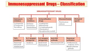 63 Immunosuppressant Drugs  Classification of Immunosuppressant  Example of Immunosuppressant [upl. by Ranger]