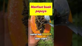 Ini dia khasiat buah pepaya 😱 [upl. by Llerrem]