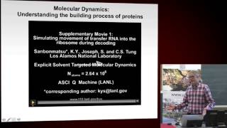 Theoretical and Computational Chemistry the Ultimate Way to Understand and Simulate Chemical Process [upl. by Aniweta833]