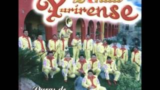 Banda YurirensePopurri De Jose Alfredo Jimenez [upl. by Valma666]