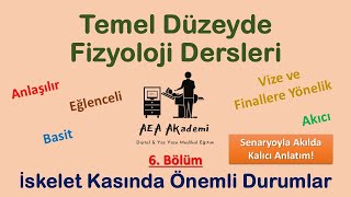 Temel Fizyoloji Dersleri Kas Fizyolojisi  Optimal Uzunluk Tetani Yorgunluk Kasılma Tipleri [upl. by Sewell]