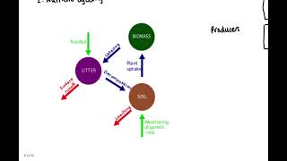 GCSE  Epping Forest  AQA [upl. by Ojyram]