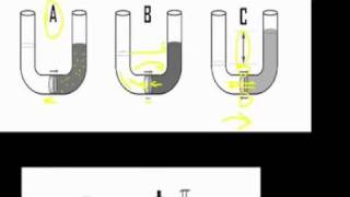 Osmotic pressure part 1 [upl. by Atlas580]