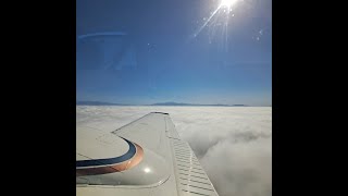 SoCal trip and Pilots N Paws Freedom Flight 134 [upl. by Lledrac]