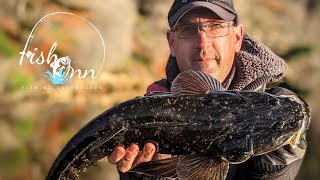 Mallacoota Flathead Fishing Rocky Walls [upl. by Stanwood]