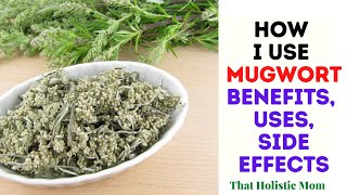 How I Use Mugwort [upl. by Waldon]