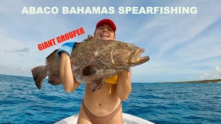 Abaco Bahamas Spearfishing with Polespear  GIANT Grouper Extraction [upl. by Adnana970]