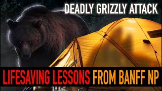 22 Most Savage Bear Attacks Caught on Camera [upl. by Odele623]