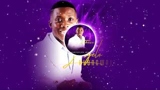 Lungelo Hlongwane  Uyangilwela Ubaba  Audio Visualizer [upl. by Naeroled]