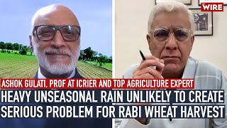 Heavy Unseasonal Rain Unlikely to Create Serious Problem for Rabi Wheat Harvest Ashok Gulati [upl. by Odlonyer]