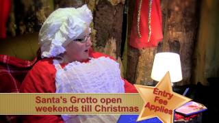 Hetland Garden Centre Chrismas TV ad [upl. by Ahsaenat]