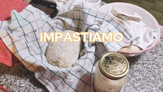 Pane e Bagels con Lievito Madre  Pulizie di casa [upl. by Retepnhoj]