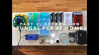 Fungal PCR at home Part 2 Extraction [upl. by Oivlis]