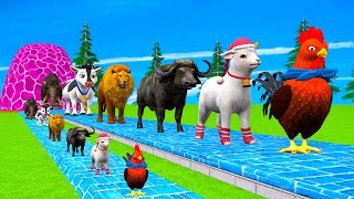 Paint amp Animals CowGorillaElephantGiraffeSheepLion Fountain Crossing Transformation Cartoon [upl. by Ahsinam]