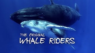 The Original Whale Riders  Official Trailer [upl. by Yelad300]