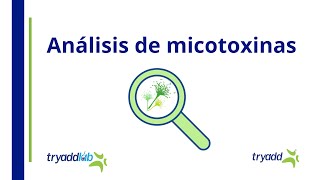 Análisis de Micotoxinas  Tryaddlab [upl. by Oinotnanauj]