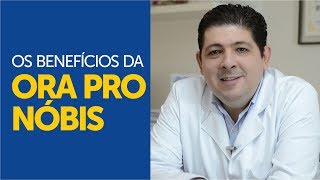 Os benefícios da planta ORA PRO NÓBIS para a nossa saúde [upl. by Chic]